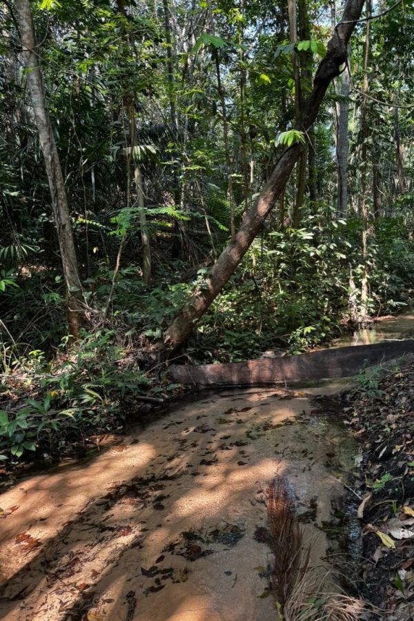 WhatsApp Image 2026-02-23 at 10.28.14 (1)