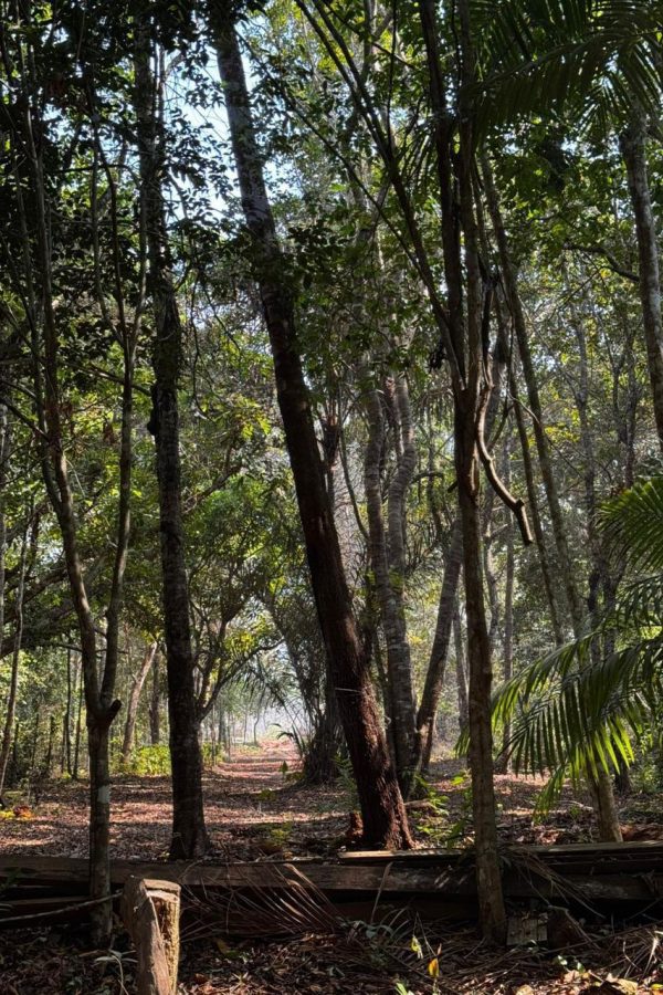 WhatsApp Image 2026-02-23 at 10.28.14 (2)