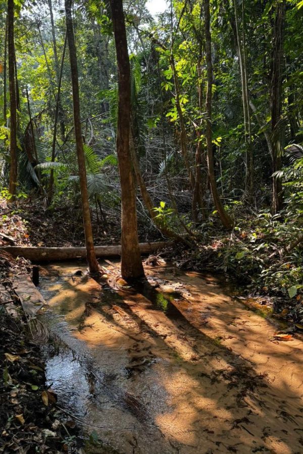 WhatsApp Image 2026-02-23 at 10.28.14